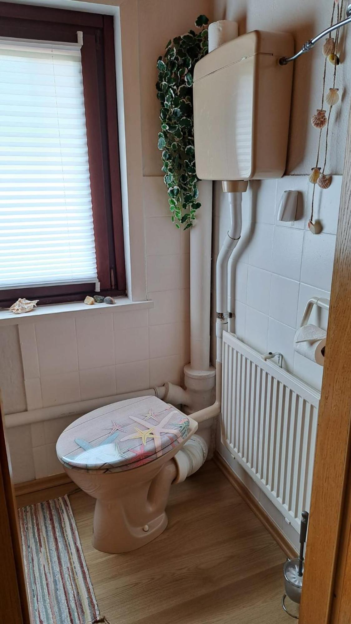 Ferienwohnung Friedrichsruh Braunlage Kültér fotó