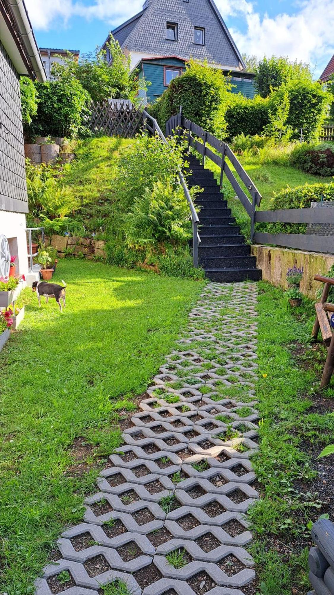 Ferienwohnung Friedrichsruh Braunlage Kültér fotó