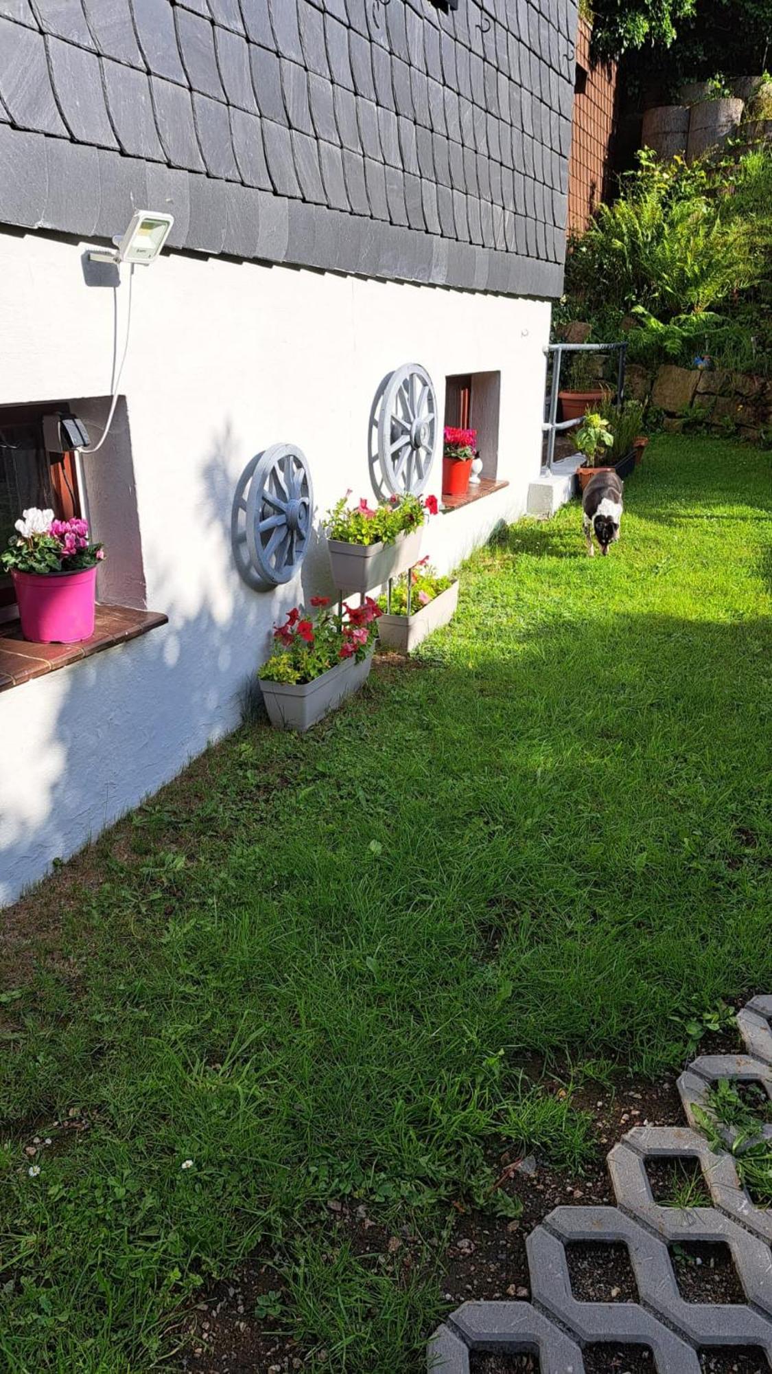 Ferienwohnung Friedrichsruh Braunlage Kültér fotó